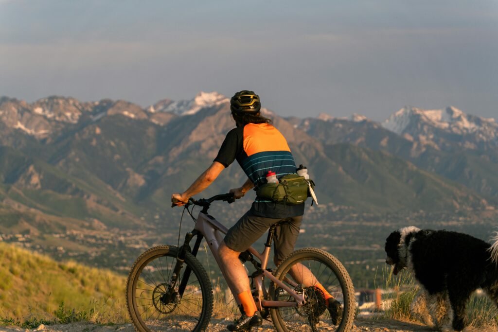 Meilleurs Brassards Téléphone 2026 - Zulupack