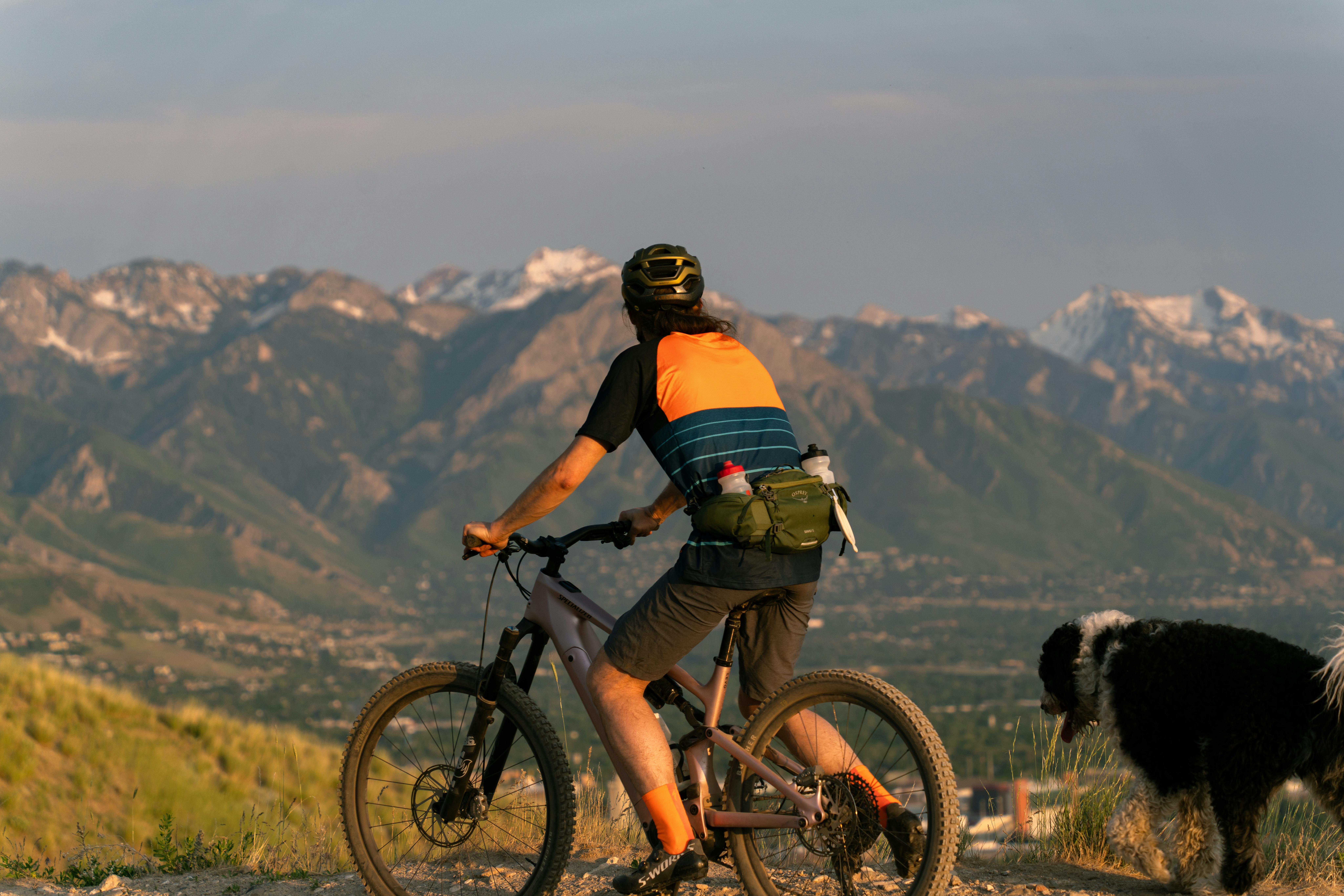 Meilleurs Brassards Téléphone 2026 - Zulupack